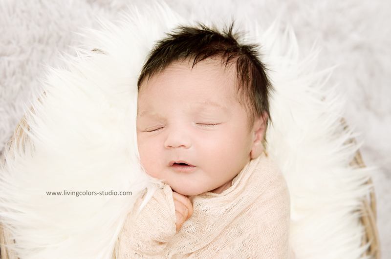 photographe nouveau-né, séance photo nouveau-né, portrait nouveau-né, photographe bébé, portrait bébé, séance photo bébé